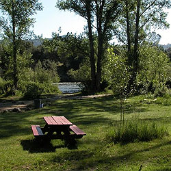 south fork american river camp lotus whitewater rafting ARTA River Trips