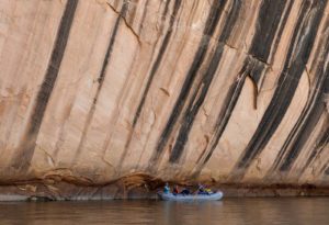 Floating past Tiger Wall while whitewater rafting on the Yampa River in Dinosaur National Monument with ARTA river trips