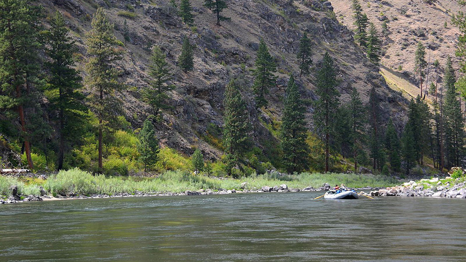 An oar boat floating during the Idaho Rowing School on the Main Salmon with ARTA River Trips