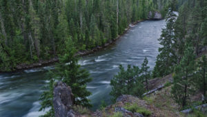 Tony Point campsite along the Selway River in Idaho