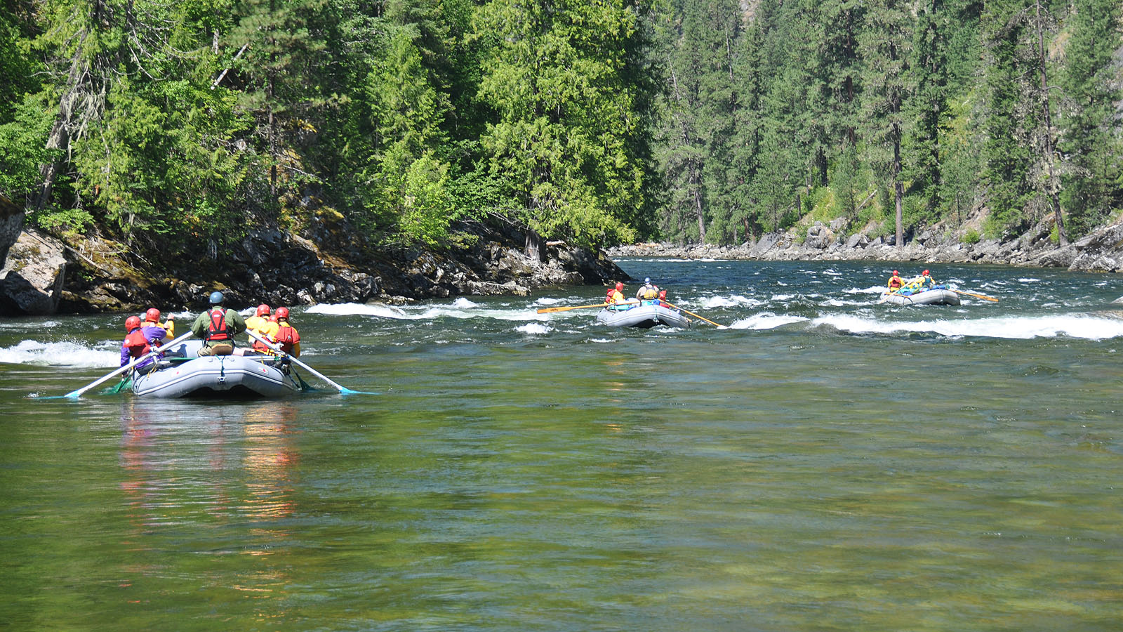 Selway River, The Ultimate Whitewater Rafting Near Yellowstone