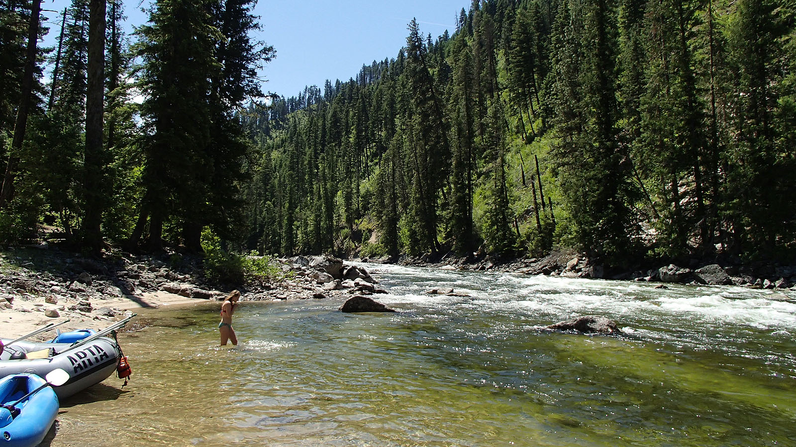 Taking a dip in the Selway River in Idaho