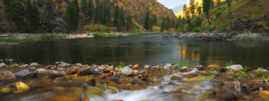 A sidestream enters the Main Salmon River in Idaho