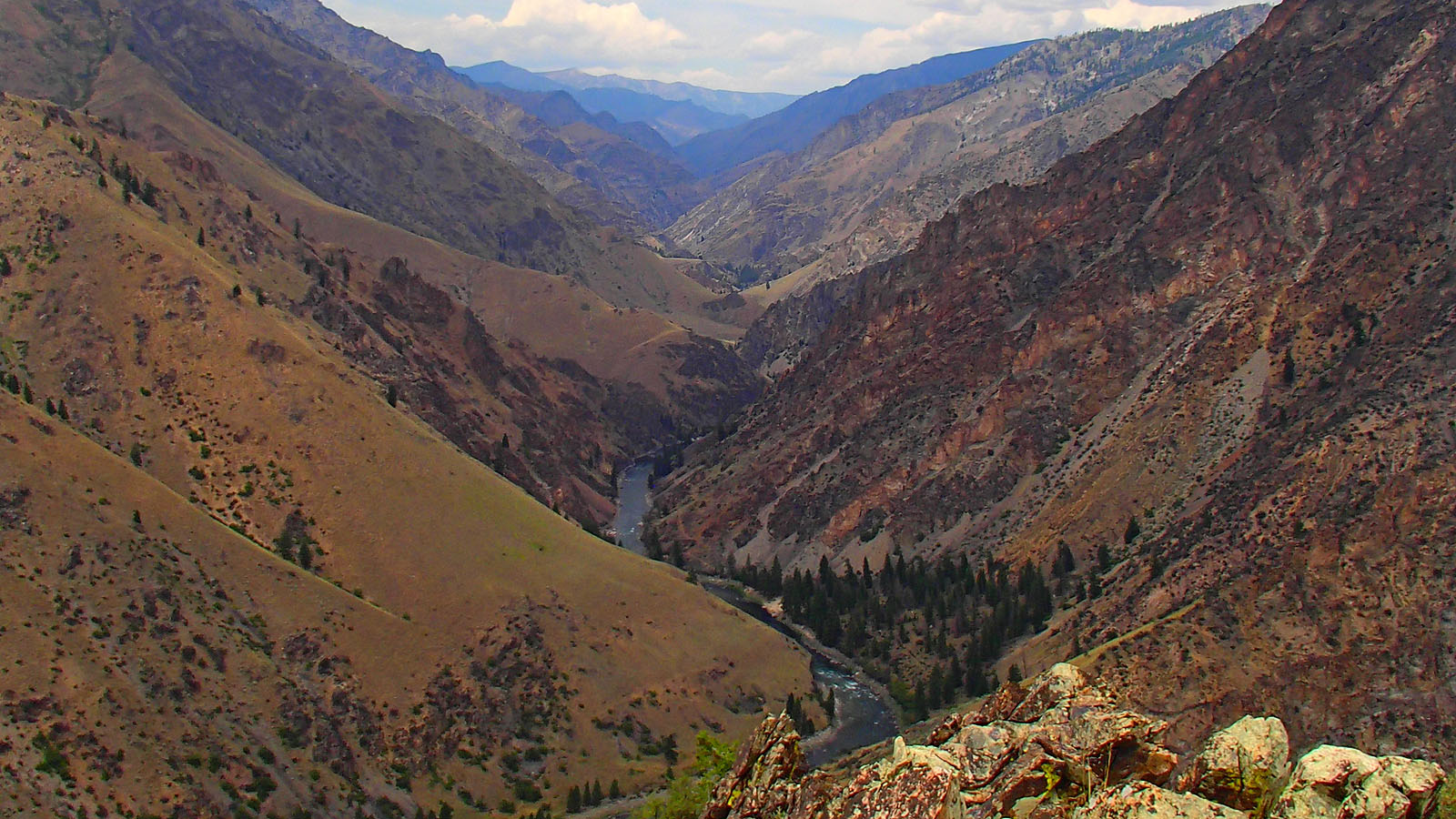 Looking upstream on the Middle Fork of the Salmon River in Idaho