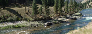 An oar raft floats along the Middle Fork of the Salmon River in Idaho with ARTA River Trips