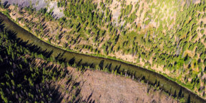 An aerial view of the Middle Fork of the Salmon in Idaho