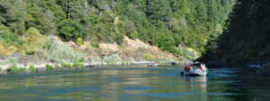 Floating down the Rogue River in Southern Oregon with ARTA River Trips
