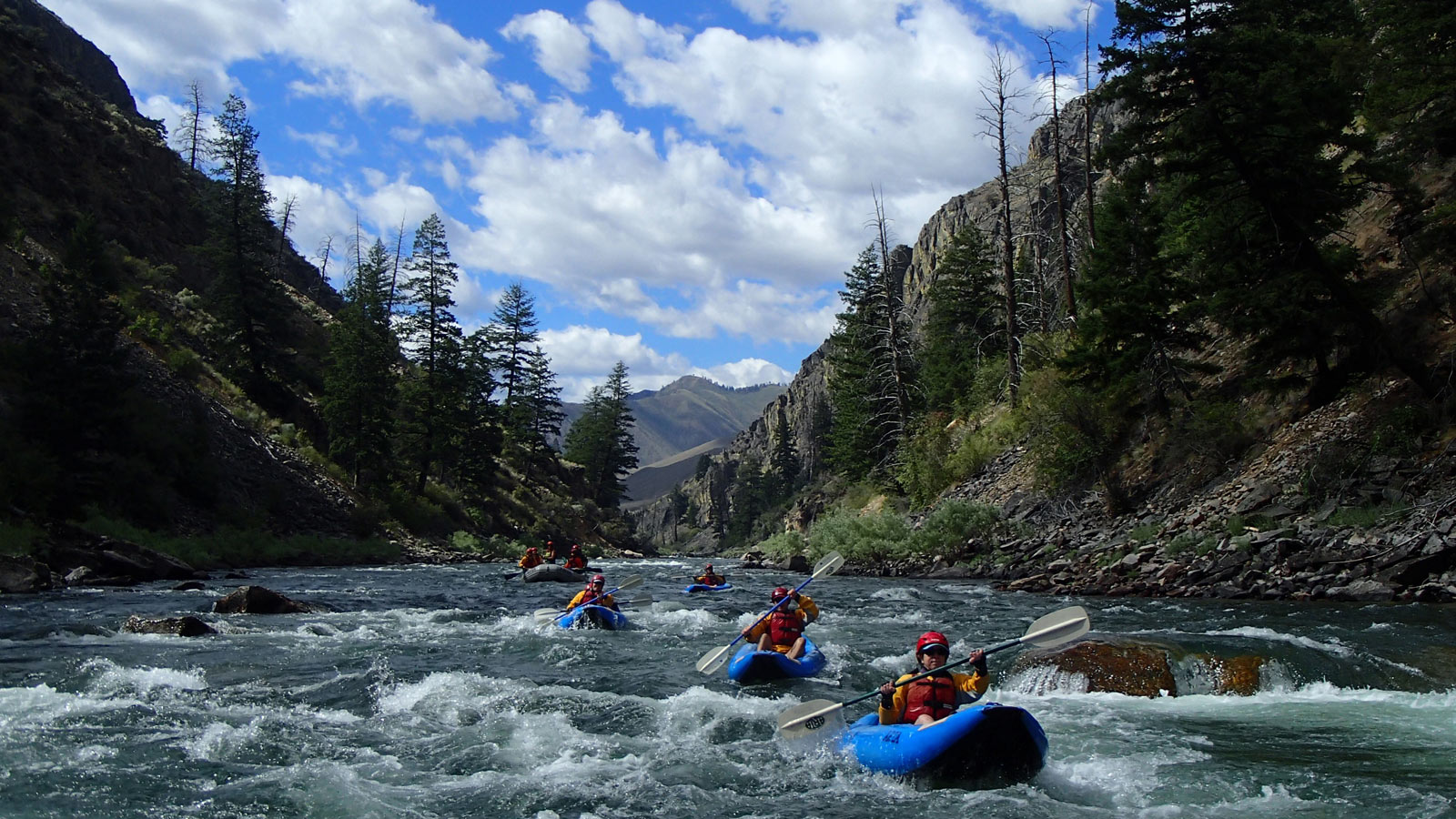 Kayaks paddle through rapids on the river