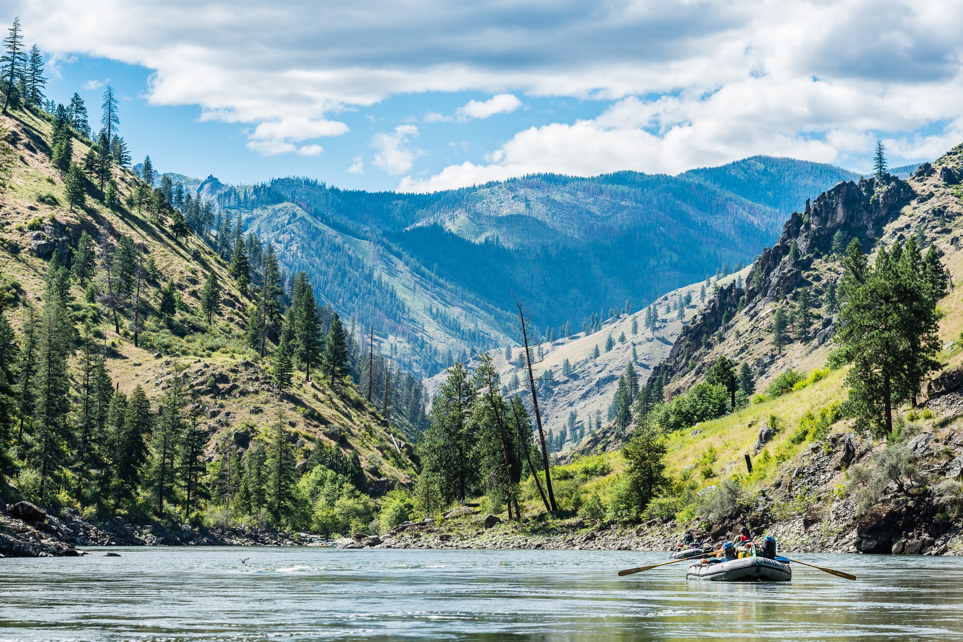 A raft floats down the scenic main salmon river
