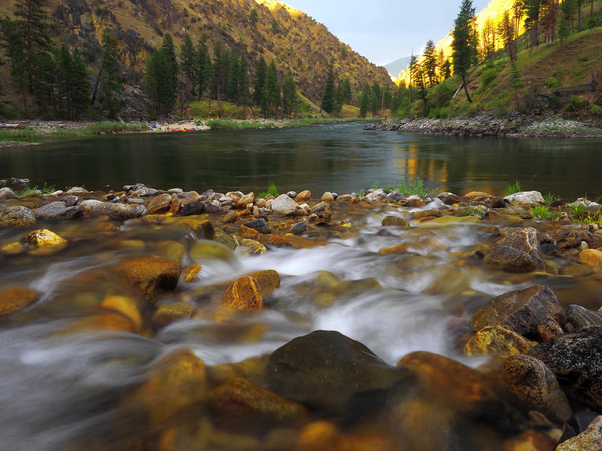Water flows over shallow rocks on a river